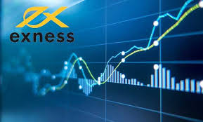 Understanding Exness Withdrawal Processing Time 4