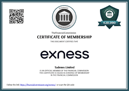 Understanding Exness Withdrawal Processing Time 4