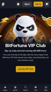 Live Casino Focus – Bitfortune An Unforgettable Gaming Experience