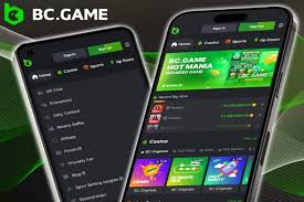 Experience the Thrill of Online Gaming at BCGame Casino