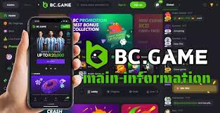 Exploring the BC.Game Online Platform in Indonesia 610953473