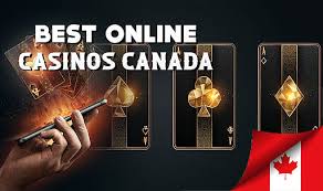 Exploring Legit Gambling Sites What You Need to Know